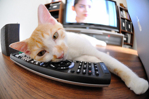 中国青少年篮球教练培训班再升级，提升执教水平，青少年篮球教练薪资