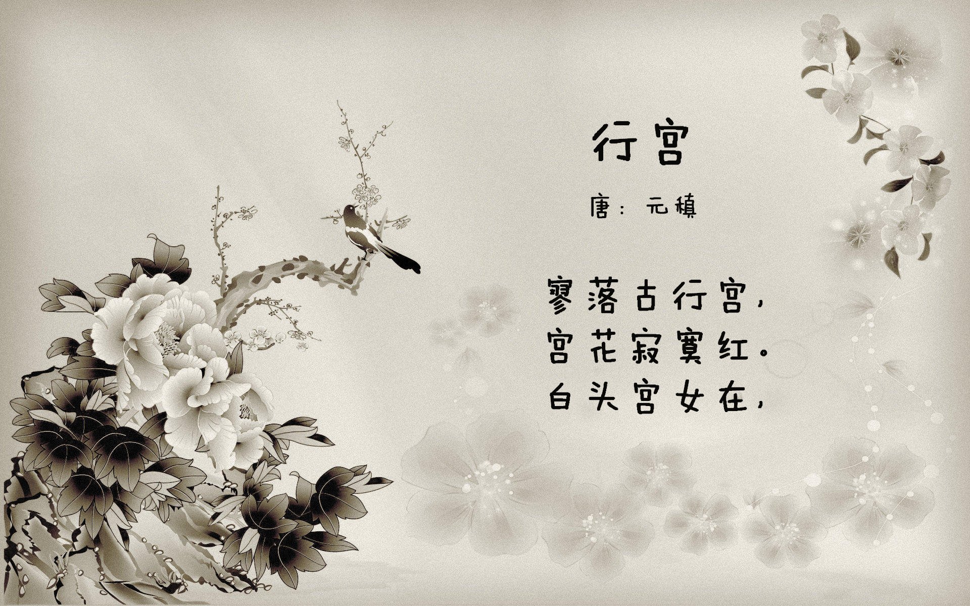争分夺秒！比赛节奏紧张，胜利前途未卜，比赛现场紧张激烈