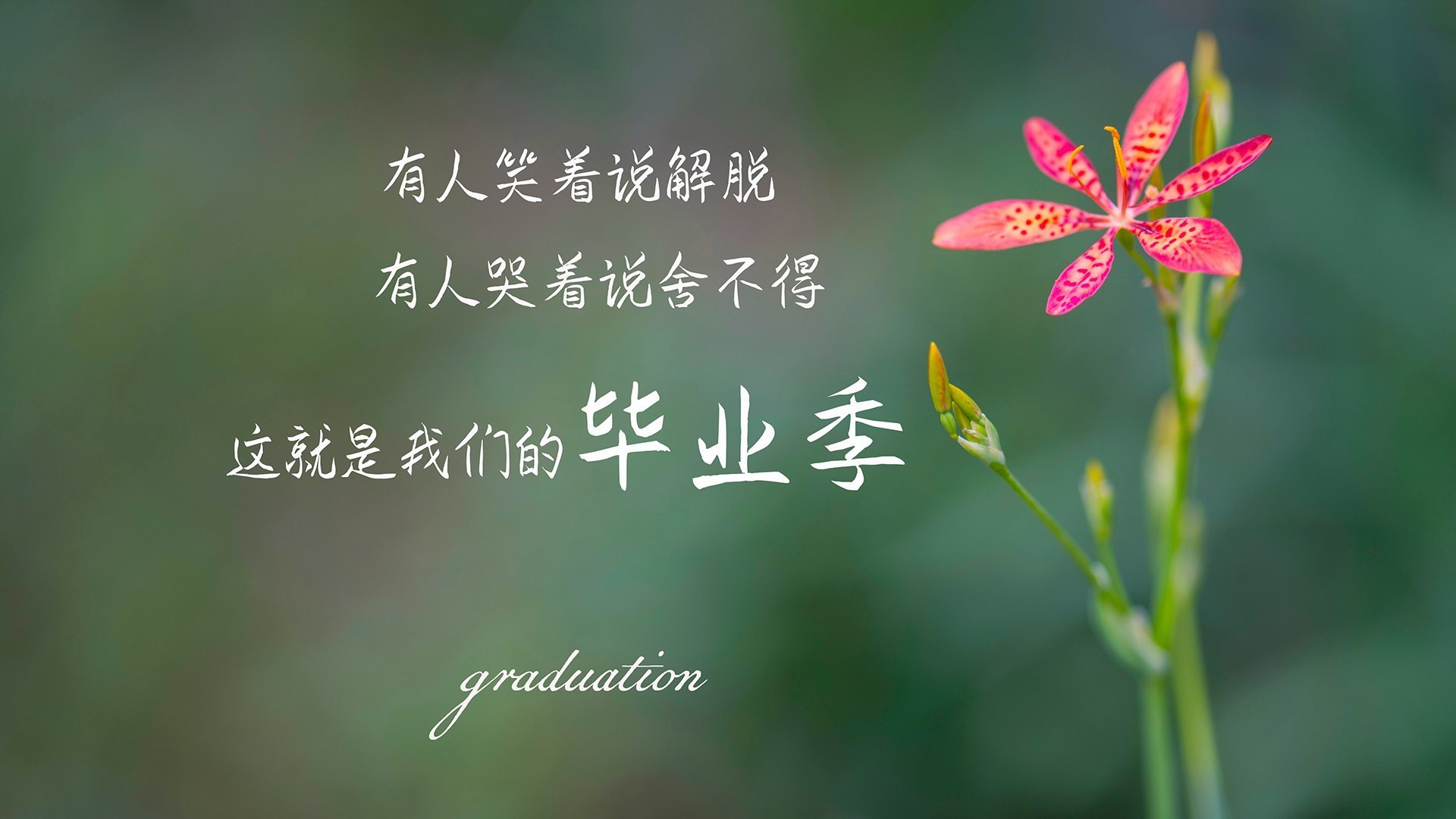 篮球运动员心理恢复训练方法探讨，篮球运动员心理素质