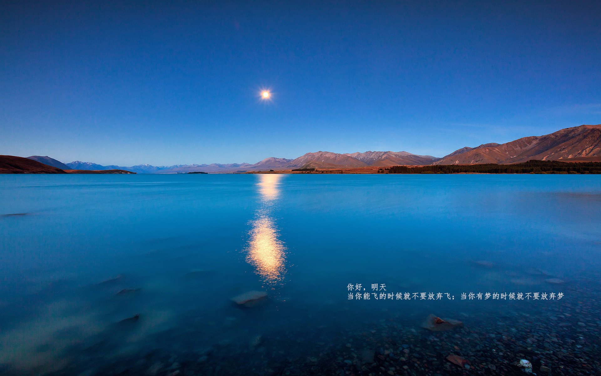 kaiyun登录入口-德甲高速反击：瞬间突破，攻势如潮！，德甲德甲