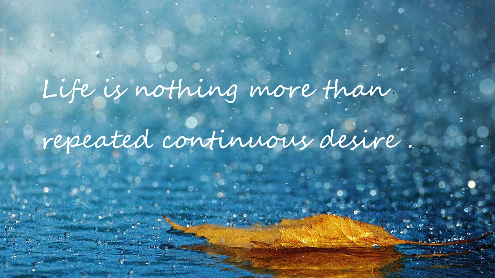 Kaiyun APP-拉恩：凭借出色的反应能力，他在全黑队的外线攻击中表现不凡，拉恩足球俱乐部