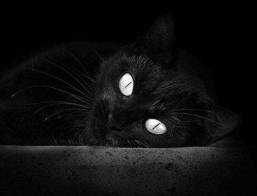 开云·体育官方网站入口-美洲杯精彩纷呈：激情、荣耀与奇迹！，美洲杯精彩吗