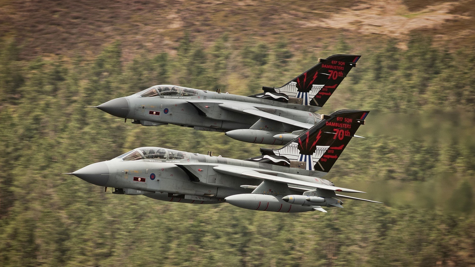 开云APP-跳水组合展现高默契完成度，跳水组合吵架