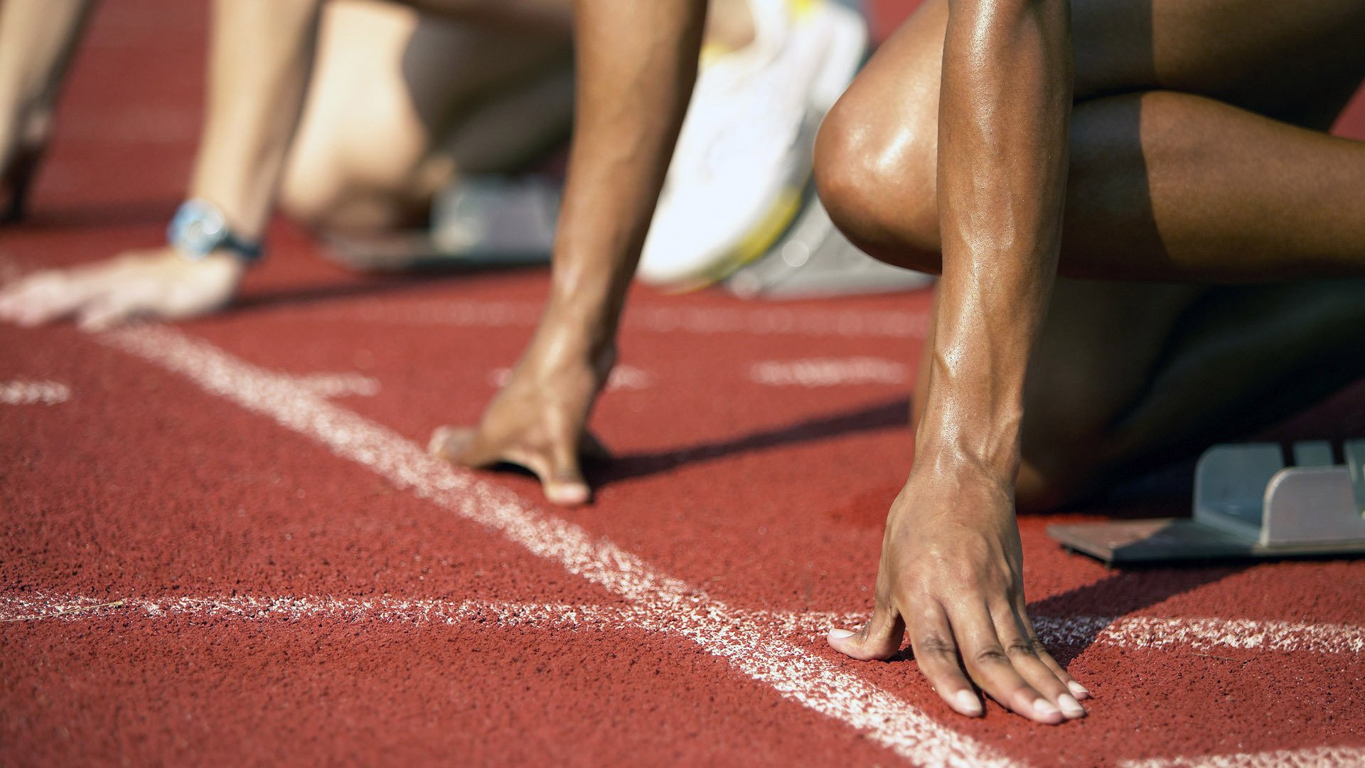 “菁英出战”——新手逐渐崭露头角的动人故事