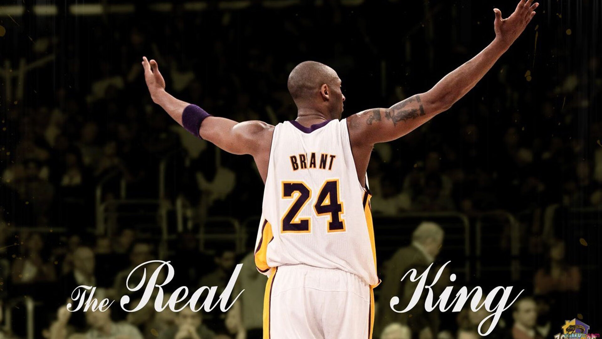 【赛事统计】关键数据解析与趋势预测，业务高手必修课_如何看懂关键数据